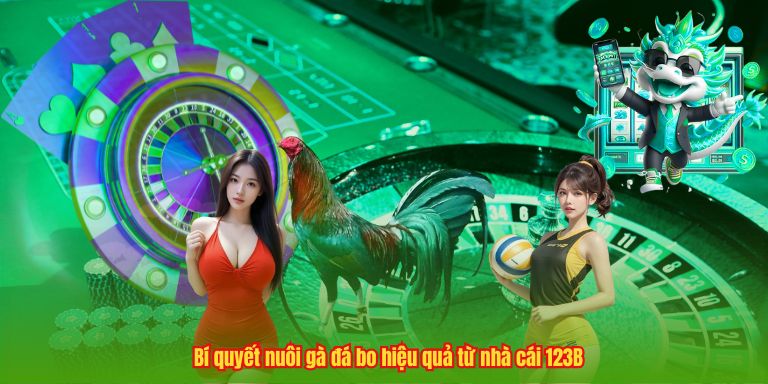 Cách Nuôi Gà Đá Bo – Bí Quyết Tạo Nên Chiến Kê Đỉnh Cao Bí quyết nuôi gà đá bo hiệu quả từ nhà cái 123B