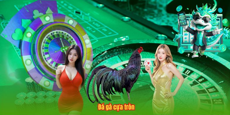 Trường Gà Savan – Đỉnh Cao, Nghệ Thuật Chọi Kê Chuyên Nghiệp Đá gà cựa tròn