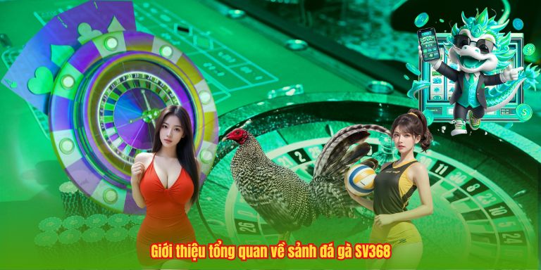 Đá Gà SV368 – Đấu Trường Chọi Kê Đẳng Cấp Châu Á Giới thiệu tổng quan về sảnh đá gà SV368