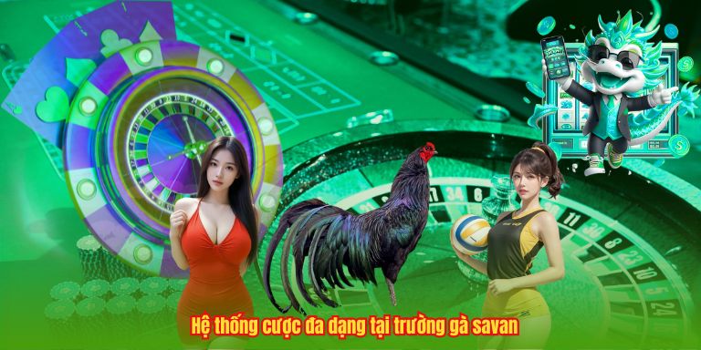 Trường Gà Savan – Đỉnh Cao, Nghệ Thuật Chọi Kê Chuyên Nghiệp Hệ thống cược đa dạng tại trường gà savan