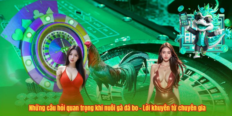 Cách Nuôi Gà Đá Bo – Bí Quyết Tạo Nên Chiến Kê Đỉnh Cao Những câu hỏi quan trọng khi nuôi gà đá bo – Lời khuyên từ chuyên gia